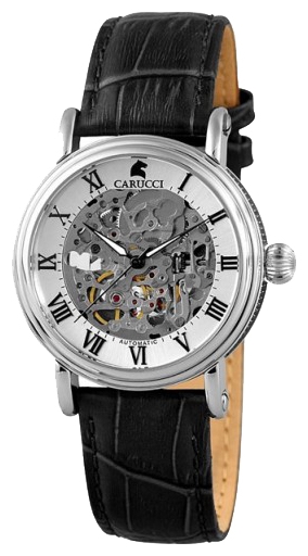 Wrist watch Carucci CA2203BK for men - 1 photo, image, picture