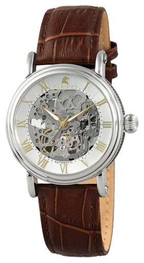 Wrist watch Carucci CA2203BR for men - 1 picture, image, photo