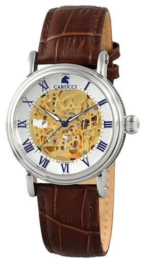 Carucci CA2203GD wrist watches for men - 1 image, picture, photo