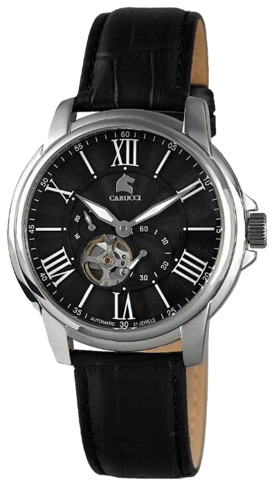 Wrist watch Carucci CA2205BK for men - 1 picture, image, photo
