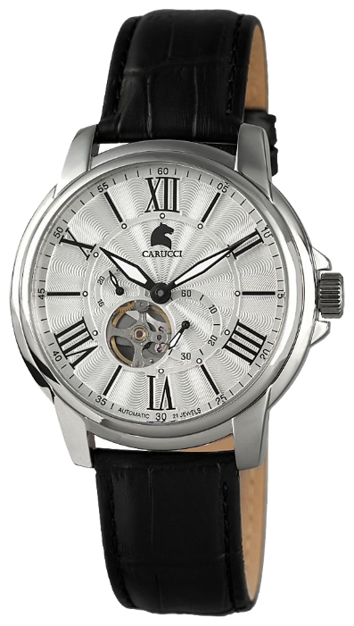 Wrist watch Carucci CA2205SL for men - 1 photo, picture, image