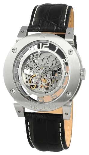 Carucci CA2207SL wrist watches for men - 1 image, picture, photo
