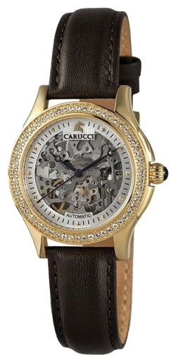 Wrist watch Carucci CA2212GD for women - 1 photo, picture, image