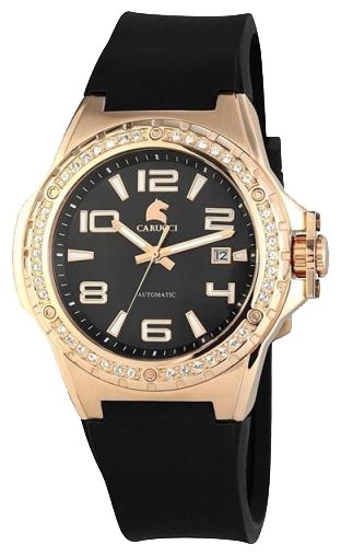 Wrist watch Carucci CA2213RG-BK for women - 1 picture, photo, image