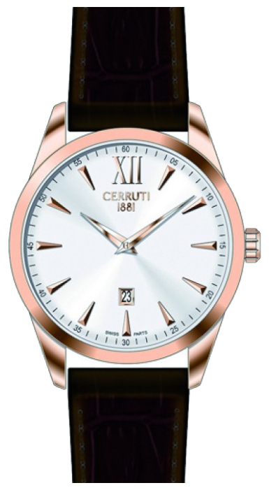 Wrist watch Cerruti 1881 CRA066C213A for men - 1 photo, picture, image