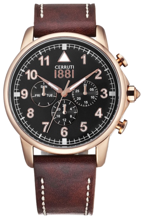 Wrist watch Cerruti 1881 CRA081C223G for men - 1 image, photo, picture