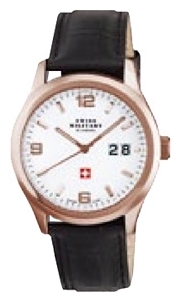 Wrist watch Chrono 20009RPL-2L for men - 1 picture, image, photo