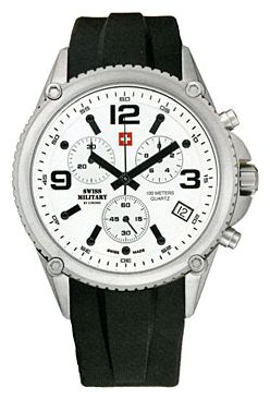 Wrist watch Chrono 20078ST-2RUB for men - 1 photo, picture, image