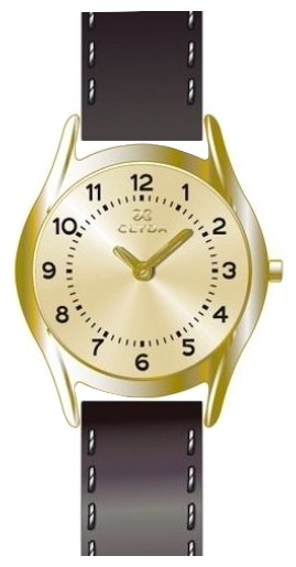 Wrist watch Clyda CLA0348PTBN for women - 1 picture, image, photo