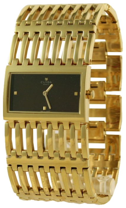 Wrist watch Clyda CLD0289PMIX for women - 1 picture, photo, image