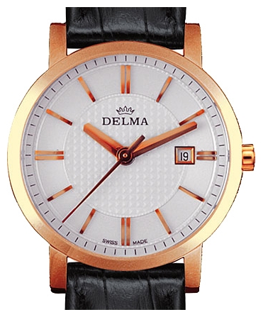Wrist watch Delma 43601.528.6.011 for men - 1 photo, image, picture