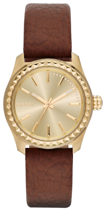 Diesel DZ5409 wrist watches for women - 1 image, picture, photo