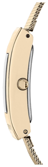 Wrist watch DKNY NY2110 for women - 2 picture, image, photo