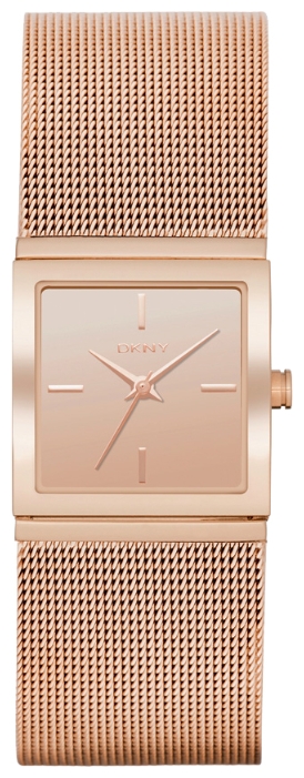 Wrist watch DKNY NY2114 for women - 1 photo, image, picture