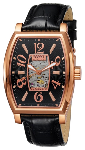 Wrist watch Esprit EL900191003U for men - 1 image, photo, picture