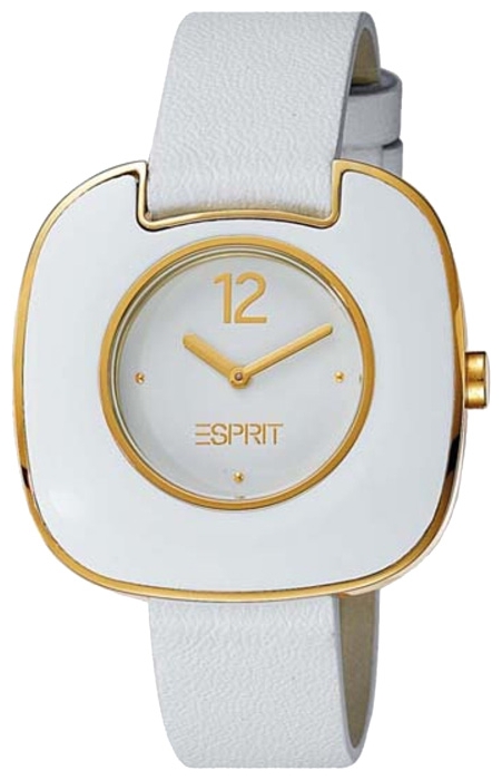 Wrist watch Esprit ES103762005 for women - 1 photo, image, picture