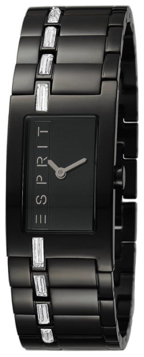Wrist watch Esprit ES900022006 for women - 1 photo, image, picture