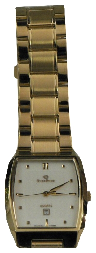 Wrist watch EverSwiss 9913-GGW for men - 1 picture, image, photo