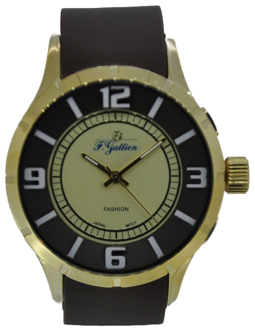 Wrist watch F.Gattien 9878-115 for unisex - 1 photo, image, picture