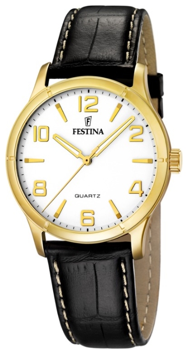 Festina watch for men - picture, image, photo