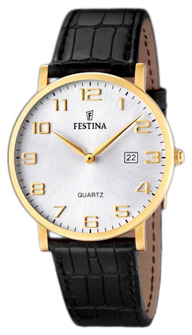 Festina watch for men - picture, image, photo