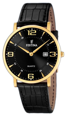 Festina watch for men - picture, image, photo