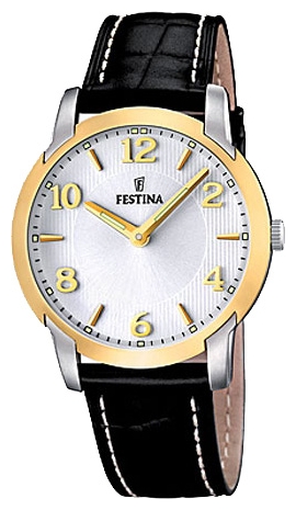 Wrist watch Festina F16508/2 for men - 1 picture, image, photo