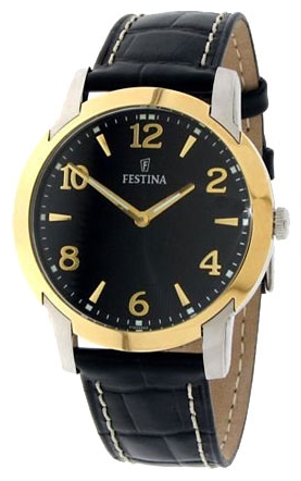 Wrist watch Festina F16508/3 for men - 1 picture, image, photo