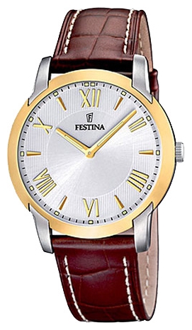 Wrist watch Festina F16508/5 for men - 1 picture, photo, image