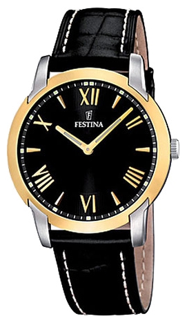 Wrist watch Festina F16508/6 for men - 1 picture, image, photo
