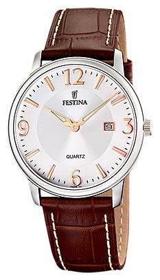 Wrist watch Festina F16516/4 for men - 1 picture, photo, image