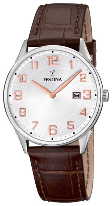 Wrist watch Festina F16518/4 for men - 1 picture, photo, image