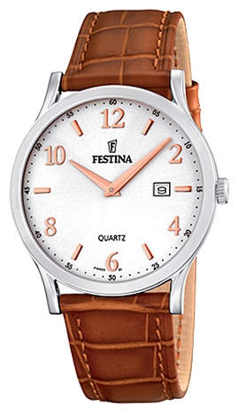 Festina watch for men - picture, image, photo