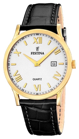 Festina watch for men - picture, image, photo