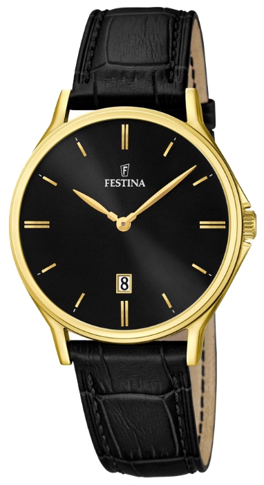 Festina watch for men - picture, image, photo