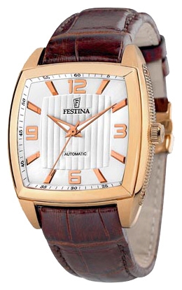 Festina watch for men - picture, image, photo