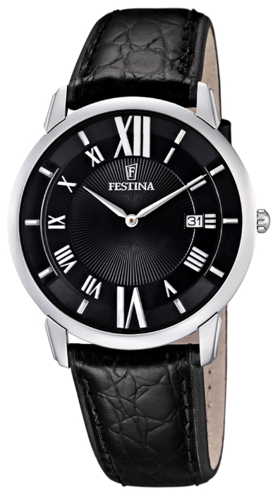 Festina F6813/2 wrist watches for men - 1 image, picture, photo
