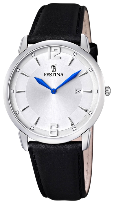 Wrist watch Festina F6813/3 for men - 1 photo, image, picture