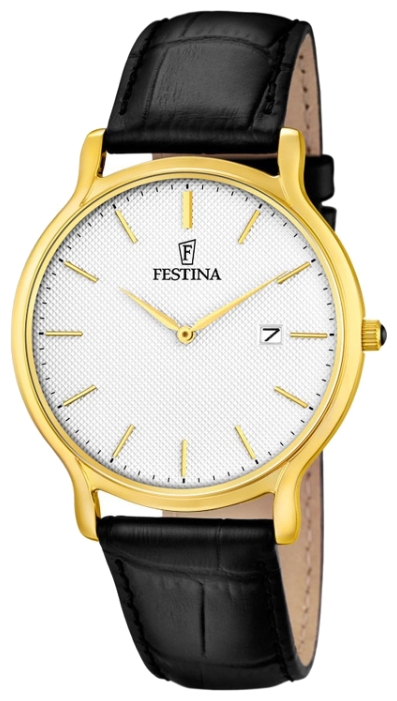 Festina watch for men - picture, image, photo