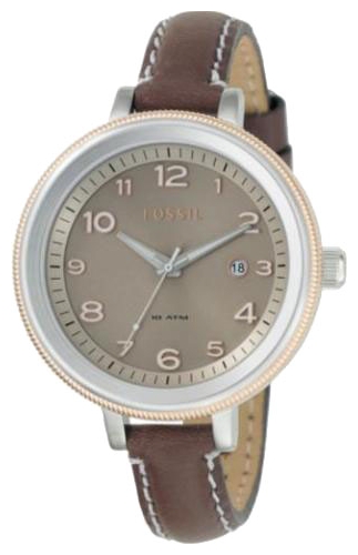 Wrist watch Fossil AM4304 for women - 1 picture, photo, image
