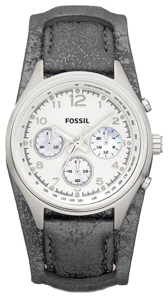 Wrist watch Fossil CH2796 for women - 1 photo, picture, image
