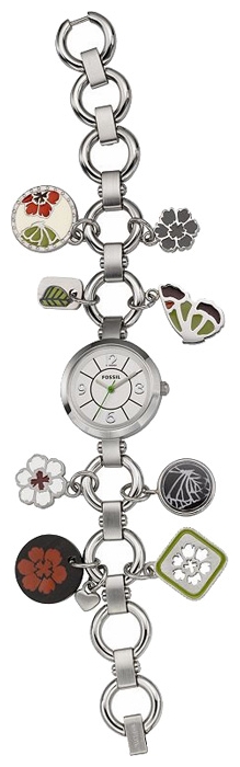 Wrist watch Fossil ES2501 for women - 1 picture, image, photo