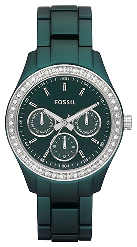 Wrist watch Fossil ES2951 for women - 1 photo, image, picture
