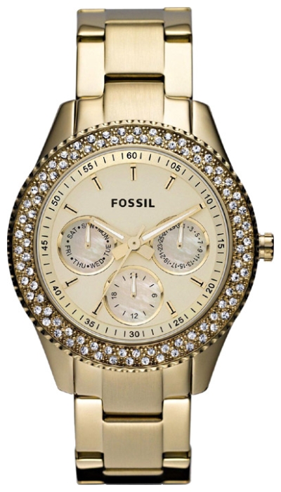 Wrist watch Fossil ES3101 for women - 1 photo, picture, image