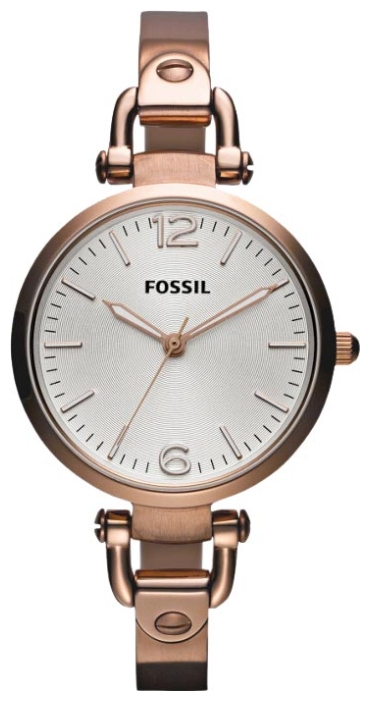 Wrist watch Fossil ES3110 for women - 1 photo, image, picture