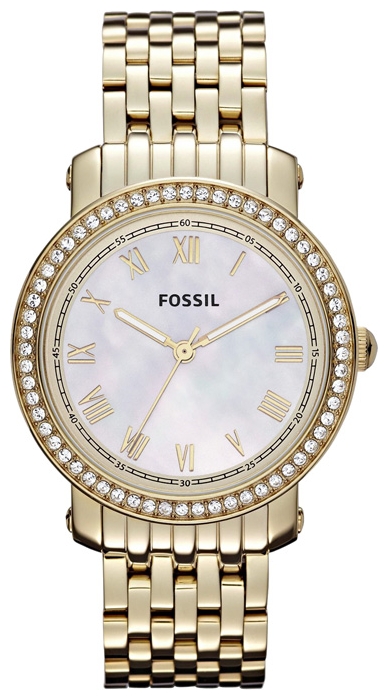 Wrist watch Fossil ES3113 for women - 1 photo, image, picture