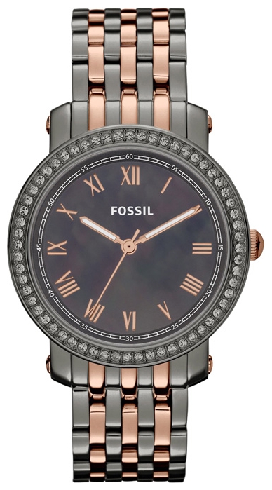 Wrist watch Fossil ES3115 for women - 1 image, photo, picture