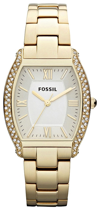 Wrist watch Fossil ES3176 for women - 1 image, photo, picture