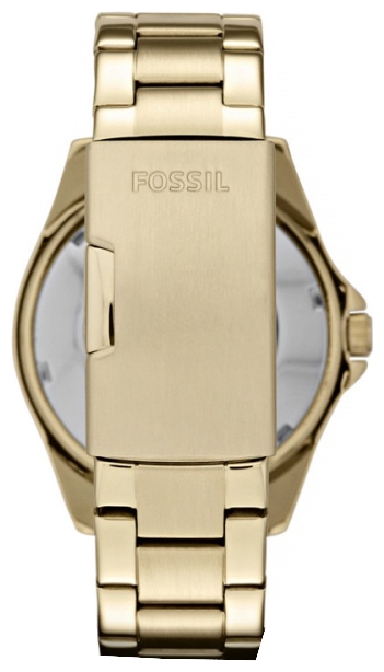 Wrist watch Fossil ES3203 for women - 2 picture, photo, image