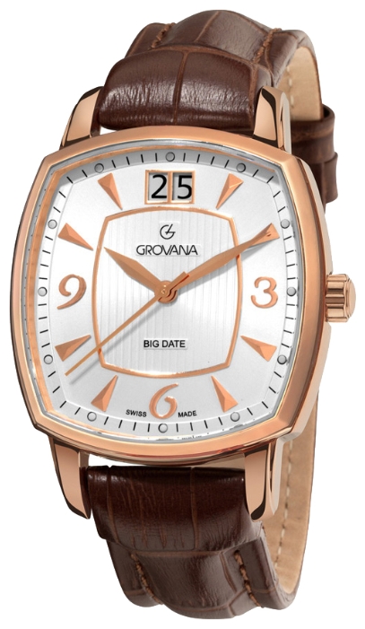 Wrist watch Grovana 1719.1562 for men - 1 picture, photo, image